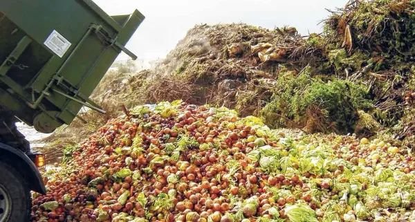 How Big Data Analytics can Help Reduce Food Wastage