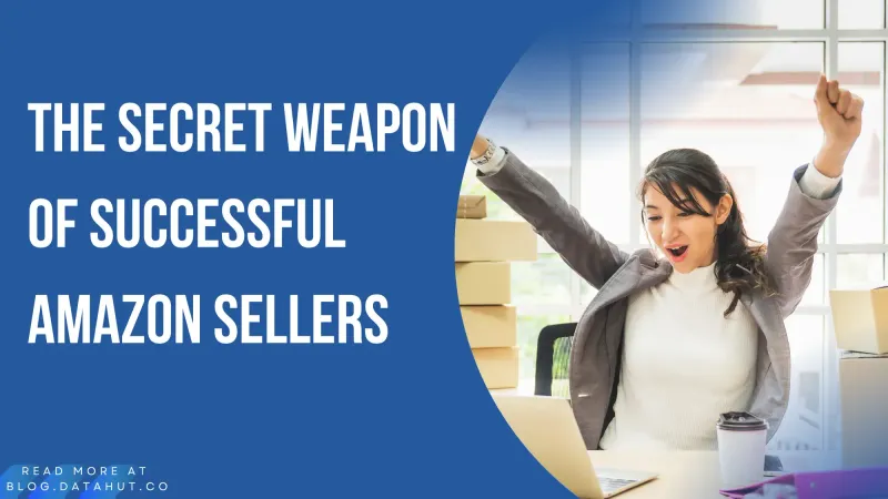 Data Strategies Used by Successful Amazon Sellers